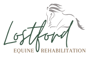Lostford Equine Rehabilitation logo